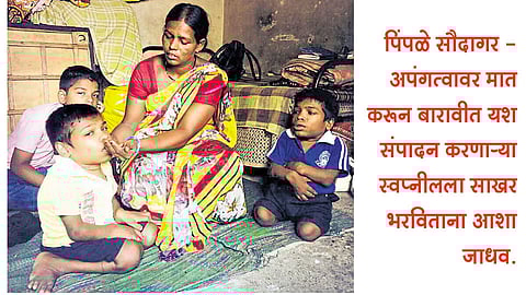 अपंग विद्यार्थ्याची भरारी