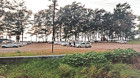 बोर्डी ः किनाऱ्यावरील सुरूची बाग पर्यटकांना आकर्षित करत आहे.