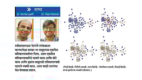 भाष्य :  मार्ग समूह प्रतिकारशक्तीचा