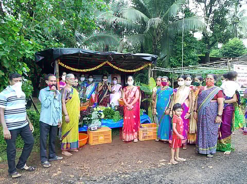 vegetable sales center in vetore vengurla sindhudurg