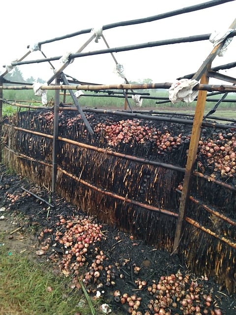 Damage to farmers due to lightning strike at Kauthe in Shrigonda taluka