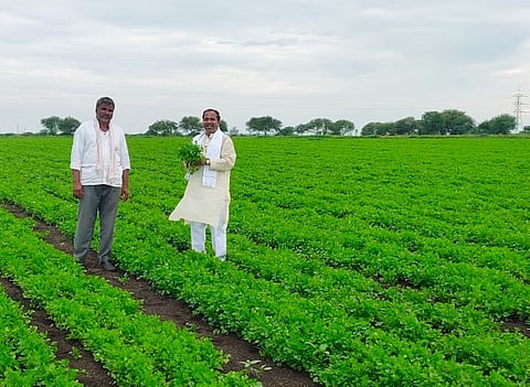 Kothambiri Utpadak Shetkari