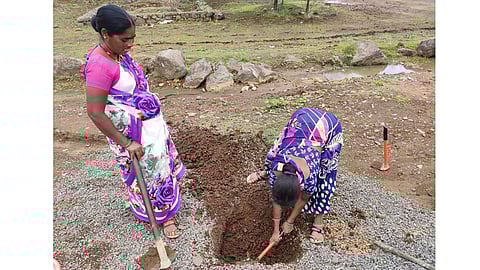 आदिवासी शेतमजुरांना नव्हते काम पण 'ही' योजना आली त्यांच्या मदतीला...