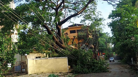 लोणावळ्यात महावितरण अजूनही धक्क्यातच; कारण तिसऱ्या दिवशीही...