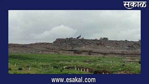 मोशी कचरा डेपोबाबत आमदार महेश लांडगेंचे आयुक्तांपुढे गाऱ्हाणे; लांडगे म्हणाले 'वेस्ट टू एनर्जी प्रकल्प राबवा'