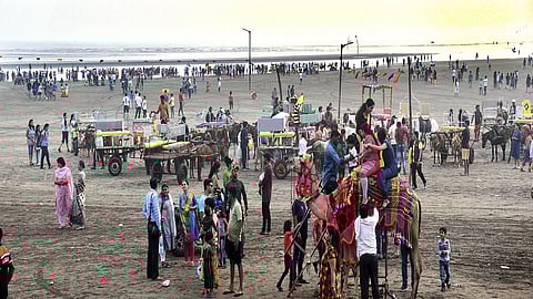 अलिबाग : नववर्षानिमित्त समुद्रकिनाऱ्यांवर पर्यटकांनी गर्दी केली होती. त्यामुळे व्यावसायिकांना सुगीचे दिवस आले होते.