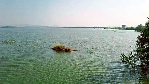 Satara Latest Marathi News Satara News