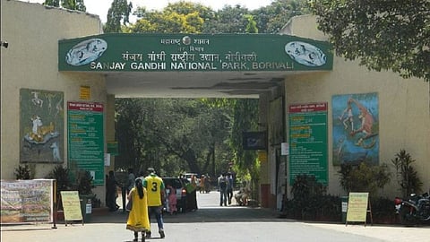 सहा महिन्यांनी मुंबईकर घेणार मोकळा श्वास, आजपासून संजय गांधी नॅशनल पार्क प्रभातफेरीसाठी खुलं