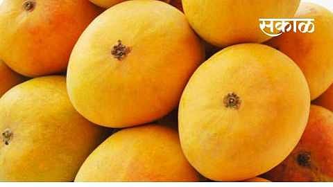 उन्ह्याळ्यात आंब्यांची वाहतूक होणार सुकर