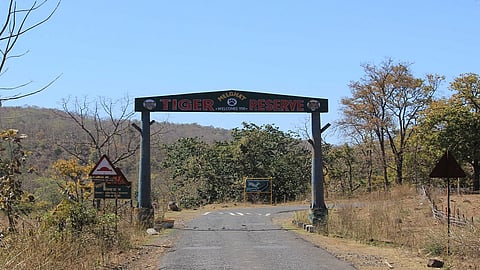 number of NGOs are more than villages in Melghat