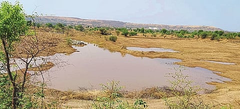 पहिल्याच पावसात तलावात आलेले पाणी.
