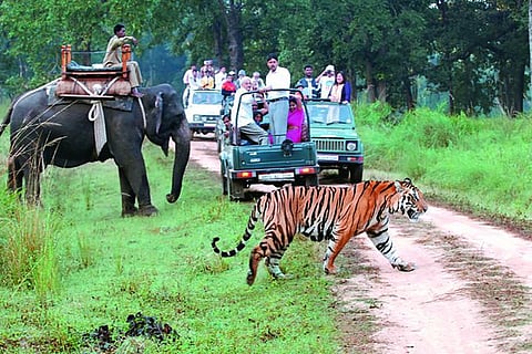 Navegaon-Nagzira tourism.jpg