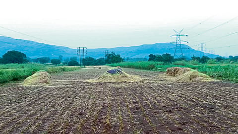 मुसळधार पावसाने पाटणला झोडपले
