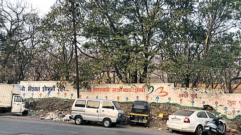 PNE19P01923.jpg