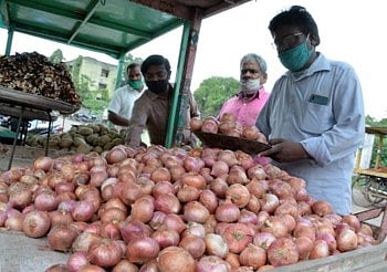 onian in solparu market