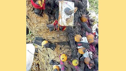 ‘...च्या समद्या घराचं वाटूळं होऊदे गं आई..!’