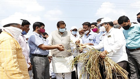 शेतीचे नुकसान पाहून पृथ्वीराज चव्हाणांचे मन हेलावले