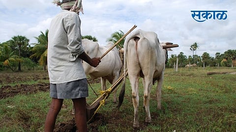 Provision of adequate funds for farmers in the budget of Pune Zilla Parishad