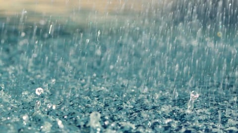 weather update rain forecast heavy rain in Vidarbha