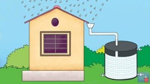 Rainwater-harvesting