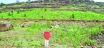 songir sabargad hills