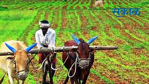 Sakal - 2021-03-01T101053.590.jpg