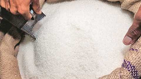 Amrutvahini distributes sugar to milk producing members