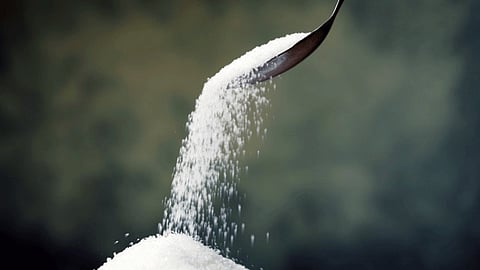 Heavy Rains Floods Affects Sugarcane Recovery