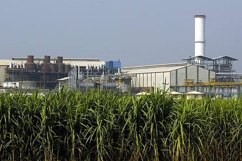 Sugar mill photo.jpg