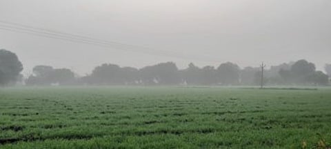 निसर्गाचा लहरीपणाचा रब्बी पिकांना बसणार फटका