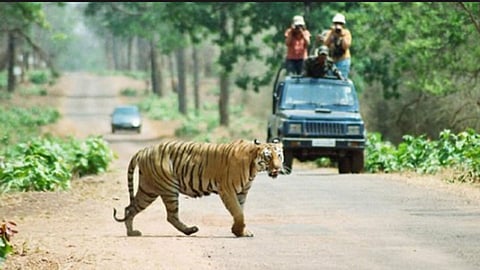 Pench Tiger Project