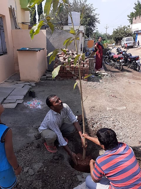 The Inspire Foundation has decided to make Madha a flower village.jpg
