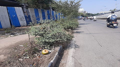 The sidewalk on Satara Road is lost in the bushes