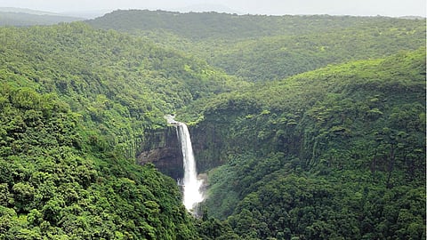 तिलारी अघोषित अभयारण्य