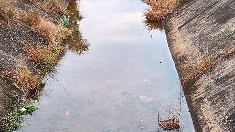 tilari dam water issue satarda kokan sindhudurg