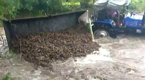 ginger tractor reversed