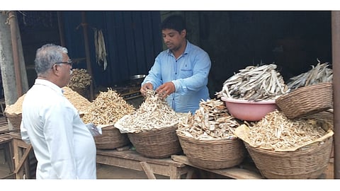 pali dry fish