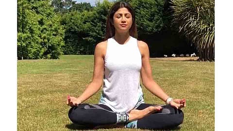 celebrity celebrates International yoga day