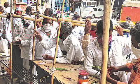 Onion became more expensive, seeds also doubled; Queues in front of farmers' shops