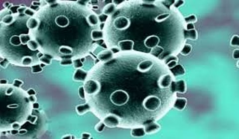 45 per cent of the corona victims in Karnataka youth