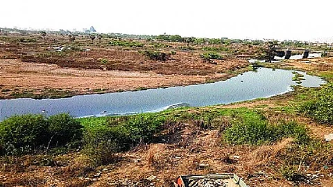 प्रदुषण कासाडी नदी