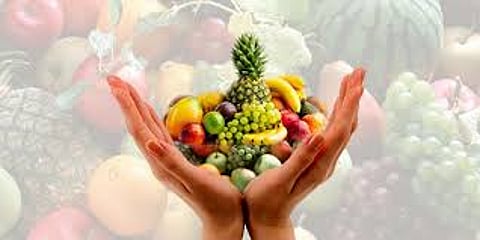 फळपीक विमाधारक.jpg