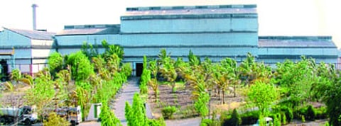 chopda sugar factory