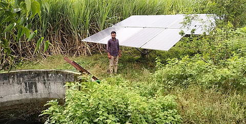 Agriculture in Nevasa on solar energy
