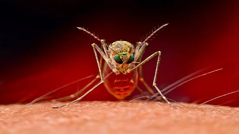 मुंबईकरांनो खबरदारी घेताय ना! शहरात कोरोनासह या आजारांच्या रुग्णांची नोंद