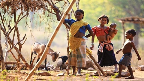 रानभाज्या विक्रीच्या हंगामाला लॉकडॉऊनचा फटका; अदिवासी बांधवांची होतेय उपासमार