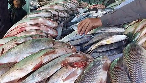 कोरोना उरावर बसलाय तरी, मटन मच्छीसाठी होणारी गर्दी काही कमी होईना...