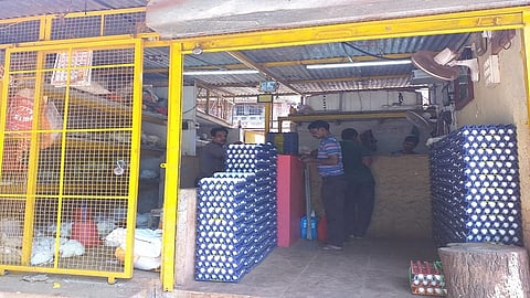 The steps of eating at Rajapur are once again towards poultry kokan marathi news