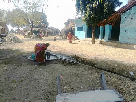 Learn about Awali Island in Bhandara District