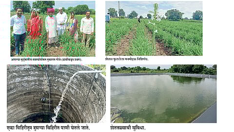 आर्थिक प्रगतीसाठी युवकाने निवडला फूलशेतीचा मार्ग